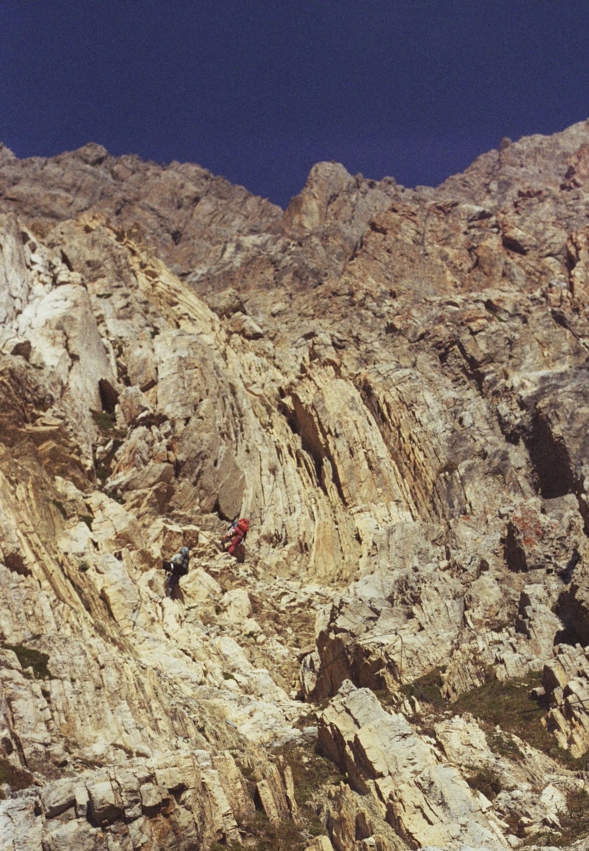 Cover photo